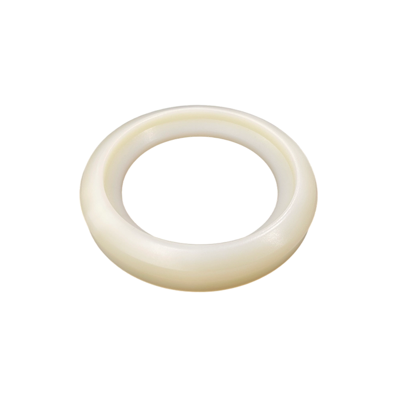 Frac Pump Valve Insert Seals